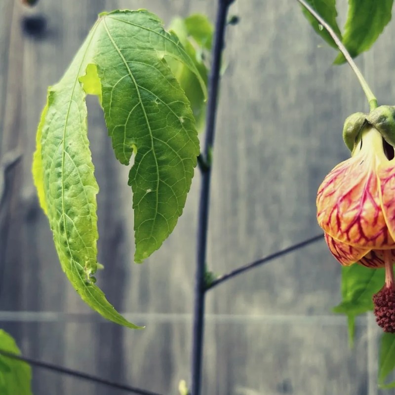 Daily Grace 1/3/23 – In His&nbsp;Time