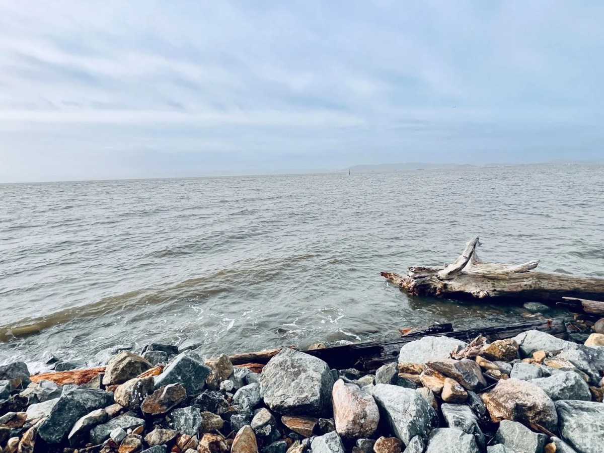 Daily Grace 1/6/23: Three Blessed Years of Full-Time&nbsp;Ministry